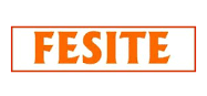 Производитель шин Fesite